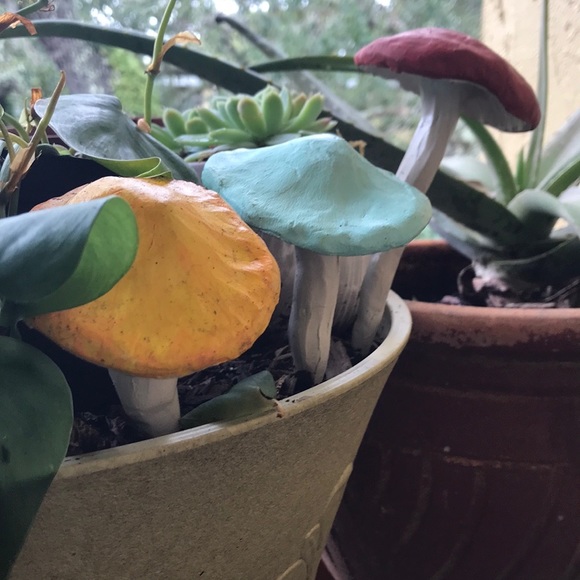 🍄🌈 Mushroom Garden Stakes Custom Order of 5 - Picture 11 of 13